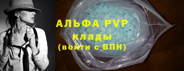 PSILOCYBIN Белокуриха