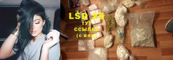 PSILOCYBIN Белокуриха