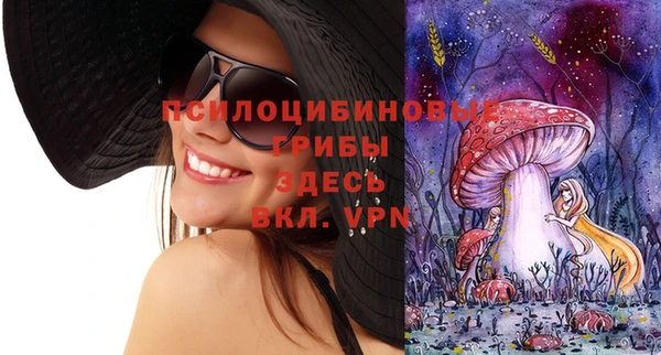 PSILOCYBIN Белокуриха