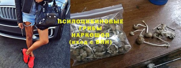 сатива Дмитриев